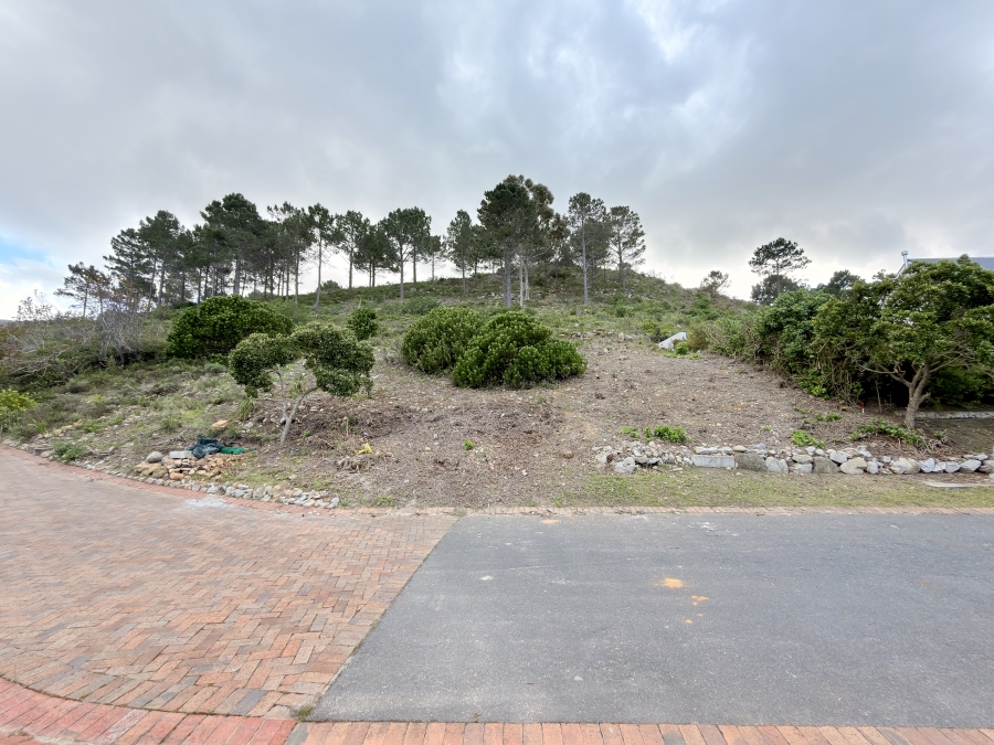 0 Bedroom Property for Sale in Hemel en Aarde Estate Western Cape